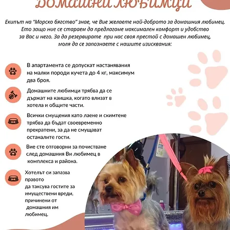 студио - морско бягство 公寓 普里莫尔斯科