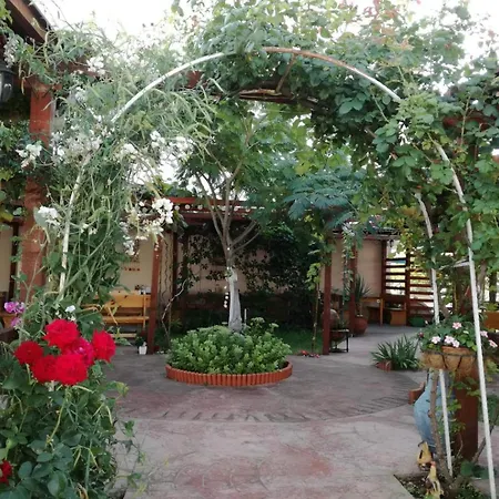 студио - морско бягство * 普里莫尔斯科